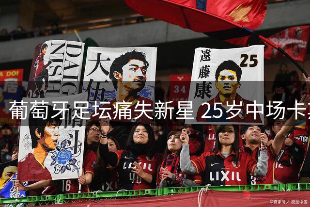 葡萄牙足坛痛失新星 25岁中场卡斯特罗比赛猝死